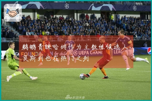 鹈鹕青睐哈姆作为主教练候选人，莫斯利也在热门之列