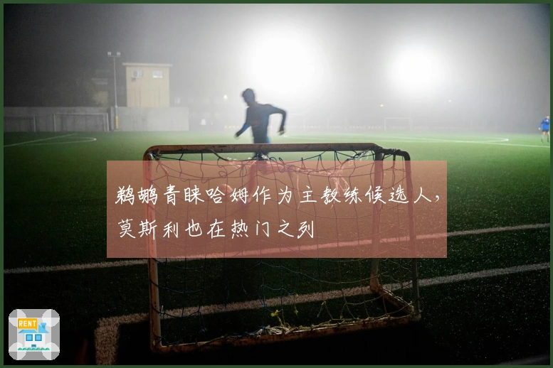 鹈鹕青睐哈姆作为主教练候选人，莫斯利也在热门之列